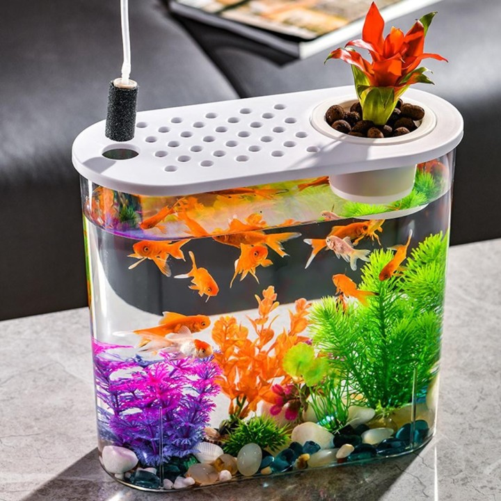 Tisch-Aquarium aus Kunststoff, bruchsicher, durchsichtig, Tisch-Aquarium, Hydrokultur-Pflanzgefäße, Bodenbearbeitung, Dekorat