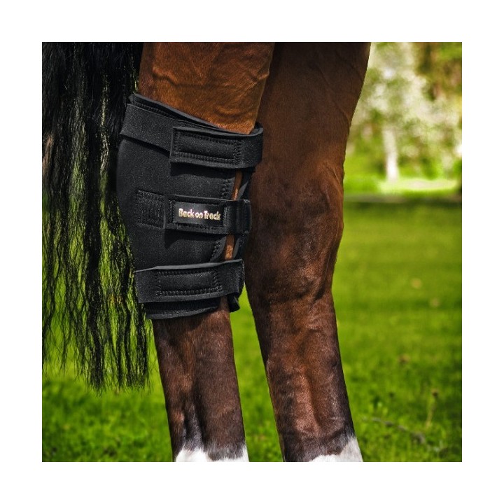 Back on Track Sprunggelenkschoner-rechts- schwarz
