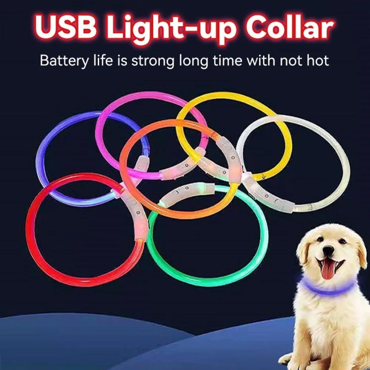 Led USB Hund Kragen Haustier Hund Nacht Leuchtende Lade Kragen Led Nacht Sicherheit Blinkende Glow Hund Verlust Prävention Kr