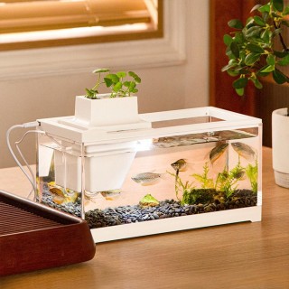 Fische Winziges Aquarium Büro Kleines Betta Aquarium Licht Mit Filter Mikro-landschaft Aquarium Büro Desktop Home Ornamente
