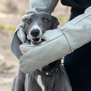 Neue Bissschutz-Sicherheitshandschuhe zum Fangen von Hunden, Katzen, Reptilien und Tieren, ultralanges weißes Leder, Haustier