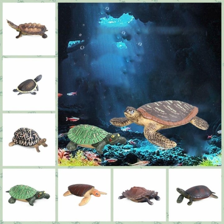Realistische Miniaturen Meereslebewesen Meeresschildkröte Modell Ozean Tier Schildkröte Figuren Aquarium Dekoration Aquarium