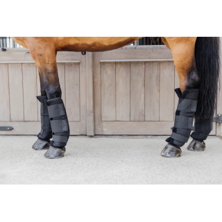 Kentucky Horsewear Stallgamaschen PROtect Classic Hinten