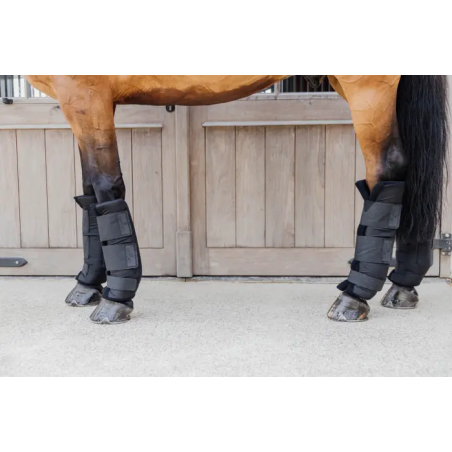 Kentucky Horsewear Stallgamaschen PROtect Classic Hinten