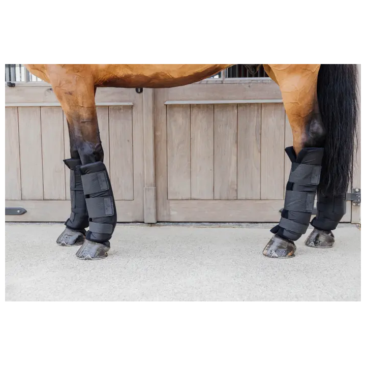 Kentucky Horsewear Stallgamaschen PROtect Classic Hinten