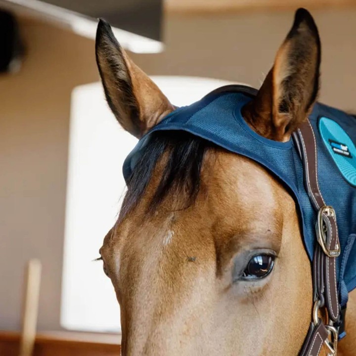 Kentucky Horsewear Magnet Neck Protector Recuptex