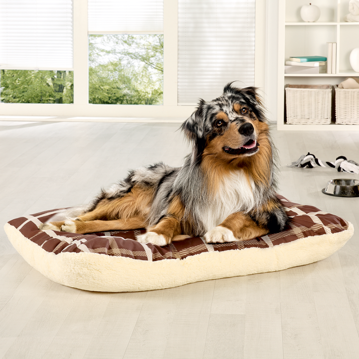 Haustier-Wendeliegekissen "Charlie"