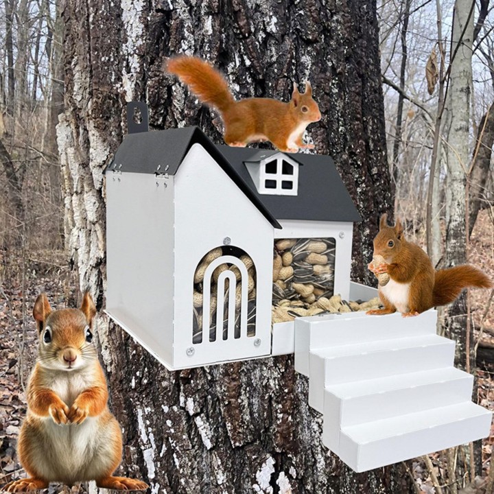 Futterspender für Eichhörnchen, Futtertisch, vielseitig, große Kapazität, Metall, für Mais, einfach zu installieren