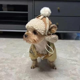 Hundemütze mit offenen Ohren, warm, für den Winter, plus Samt, für Haustiere