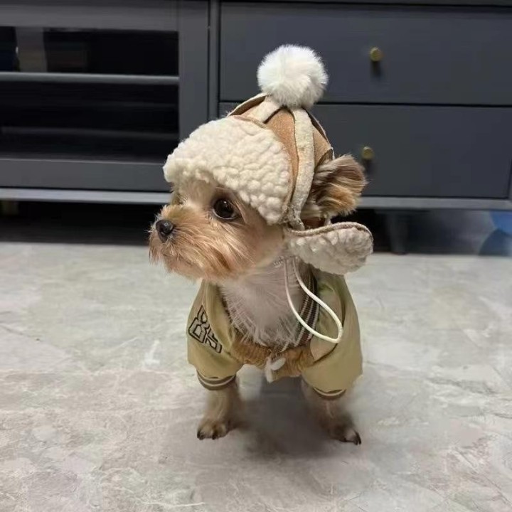 Hundemütze mit offenen Ohren, warm, für den Winter, plus Samt, für Haustiere