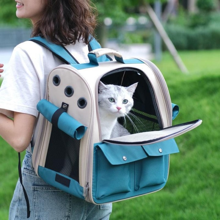 Haustier-Rucksack, tragbarer Outdoor-Träger für Katzen und kleine Hunde, faltbar, belüftetes Design, großer Rucksack für Katz