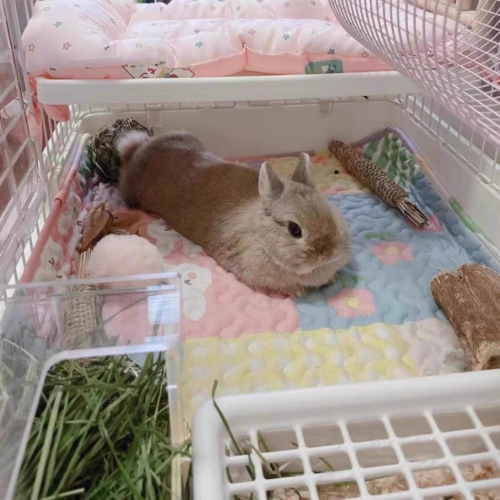 Bodenmatte für Haustiere, Sofakissen, Trainingsunterlage, waschbar, Käfig-Windelmatte, wasserdichte Bettwäsche, Pee Pad, Heim