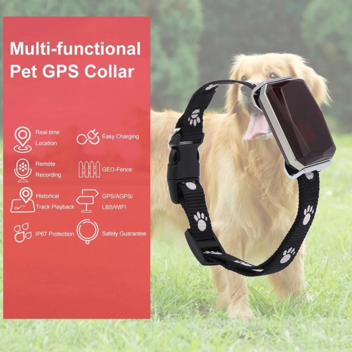 Wasserdichter IP67 Mini-Haustiere GPS AGPS LBS Wifi Tracker Echtzeit-Tracking-Halsband Hund Katze Finden Gerät Glockenringe T