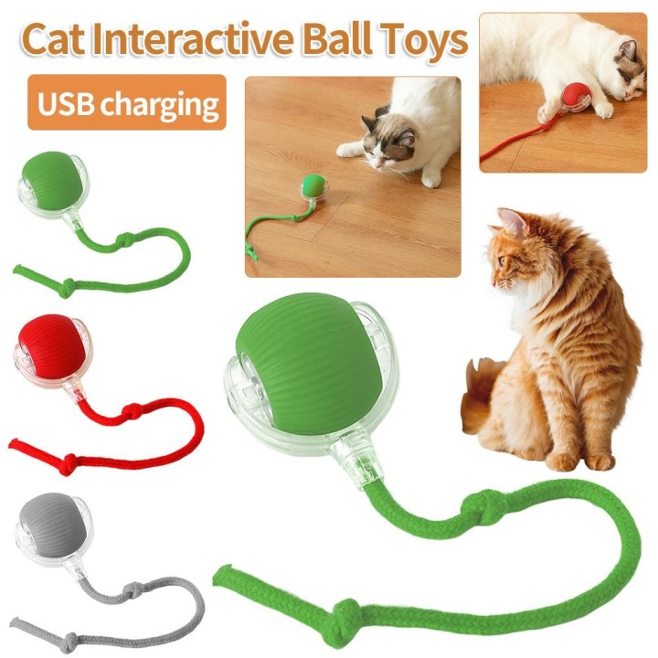 Elektrisches Katzenballspielzeug, automatischer rollender Ball, Kunstschwanz, wiederaufladbar, intelligentes Haustier, intera