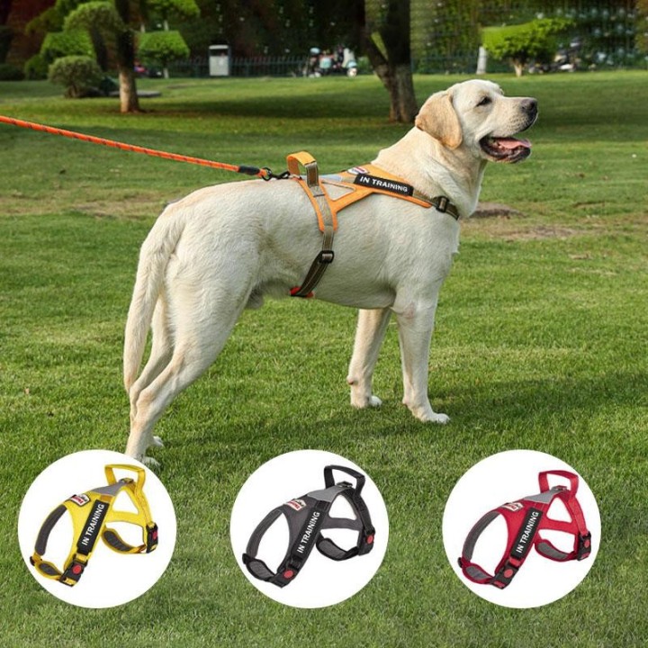 Nachtreflektierendes personalisierbares ID- und Namensgeschirr für Haustiere, Hundegeschirr, Leine für Labrador, großes und k