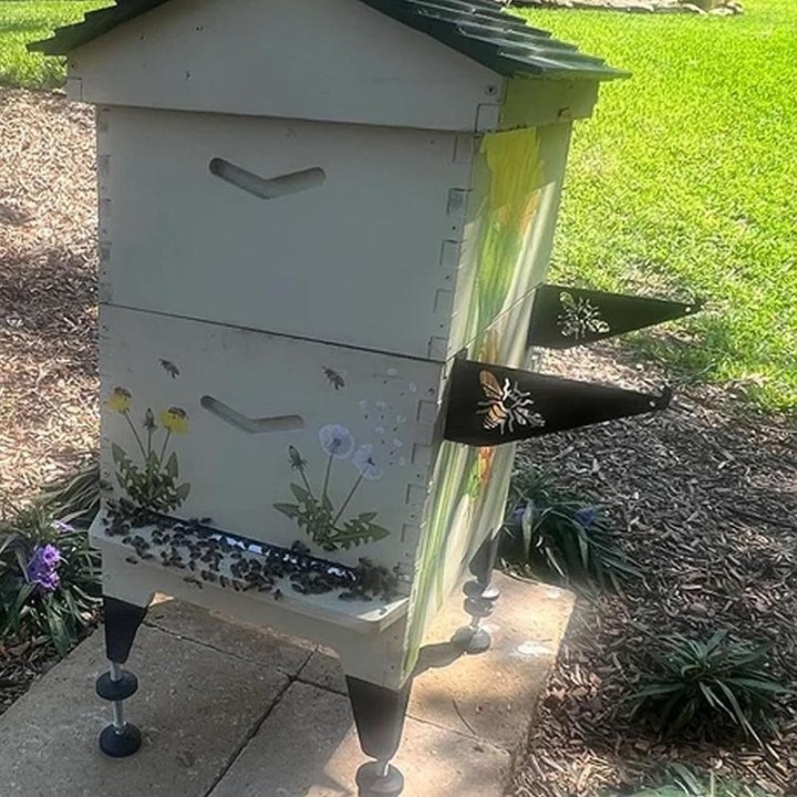 Beehive Inspektion Halterung Beehive Rahmen Holde Edelstahl Bee Hive Rahmen Grip Für Bienenzucht Bee Hive Ständer Imker Werkz