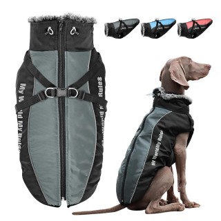 Warme Hundekleidung mit Geschirr, Winter-Hundekleidung für Labrador, Windhund, französische Bulldogge, Weste-Outfits, wasserd