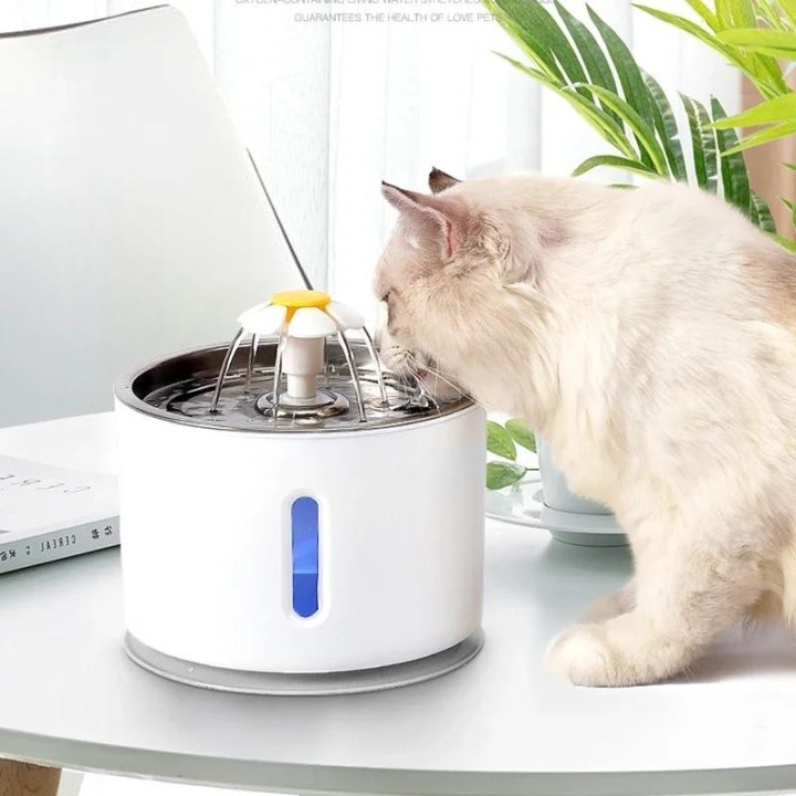 Automatischer Wasserbrunnen für Katzen und Hunde, Trinknapf mit Aktivkohlefilter, elektrischer Trinkspender für Katzen, USB-S