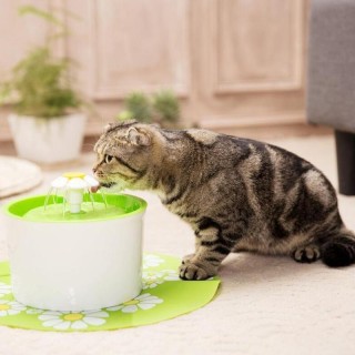 Hund Katze Wasser Dispenser Kleine Blume Elektrische Haustier Automatische Zirkulierende Filtration JP