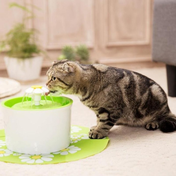Hund Katze Wasser Dispenser Kleine Blume Elektrische Haustier Automatische Zirkulierende Filtration JP