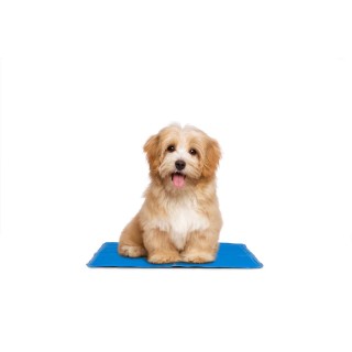 Haustier-Kühlmatte