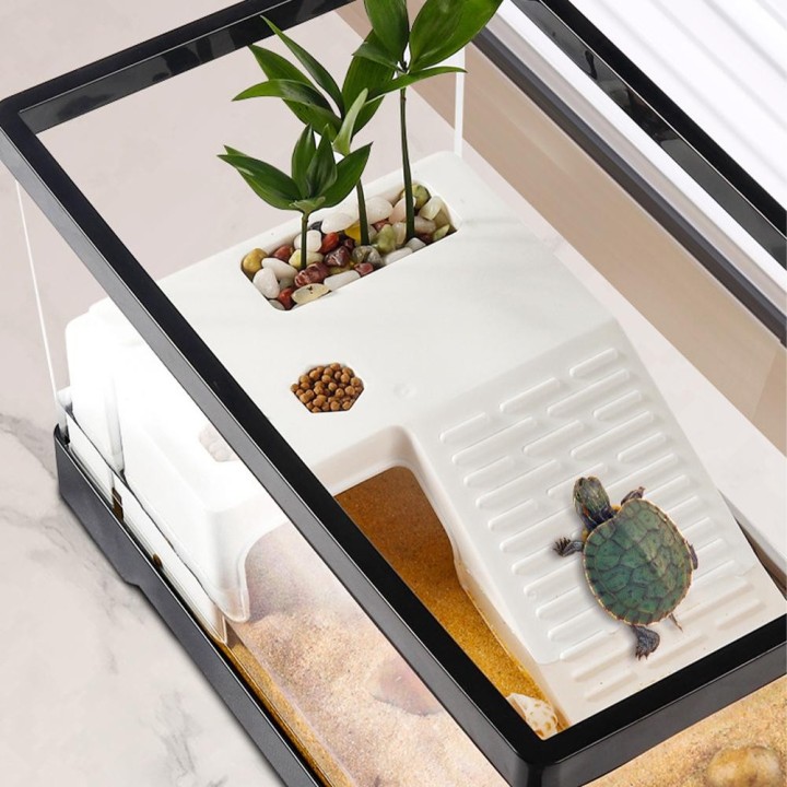 Großes transparentes Schildkrötenbecken, Aquarium mit Bodenablauf, Reptilien und Amphibien, mit Sonnenplattform, offener Zuch