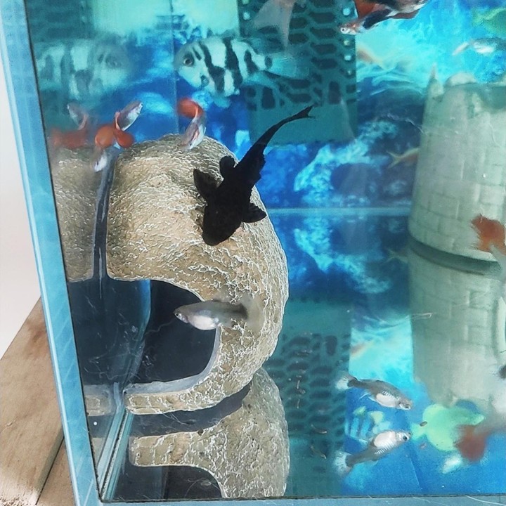 Aquarium-Versteck, Felsunterstand, künstliche Haushöhle, Aquarium-Dekoration für Schreibtisch und Wohnzimmer