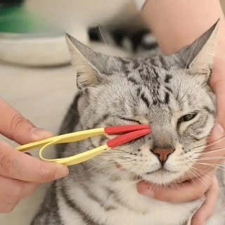 1PC Haustier Tränenfleckenbürste Katze Hund Augen Kotbürste Knoten Augenreiniger Clip Weiche Bürste Reinigung Weiche Bürste K