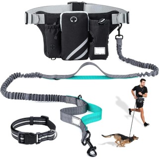 Verstellbare Hüftgurttasche, Trainingstasche mit einziehbarer freihändiger Hundeleine mit reflektierenden Nähten zum Laufen,