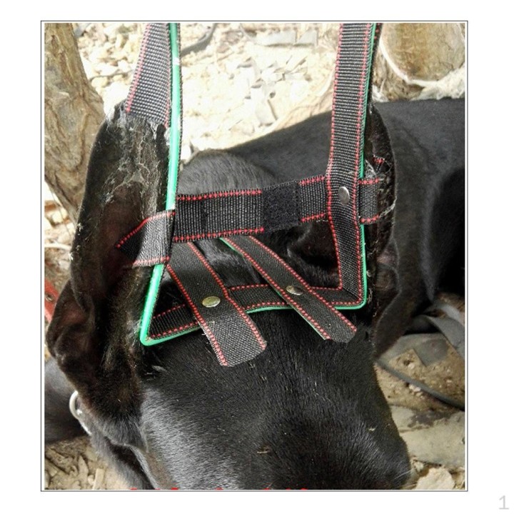 Pflegemittel – Sanfte Unterstützung für alle Rassen und Größen S