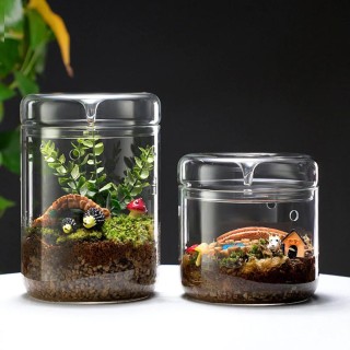 Glasflaschen Kreative Tau Sammlung Vase Micro Landschaft Sukkulenten Moos Bonsai Terrarium Home Decor