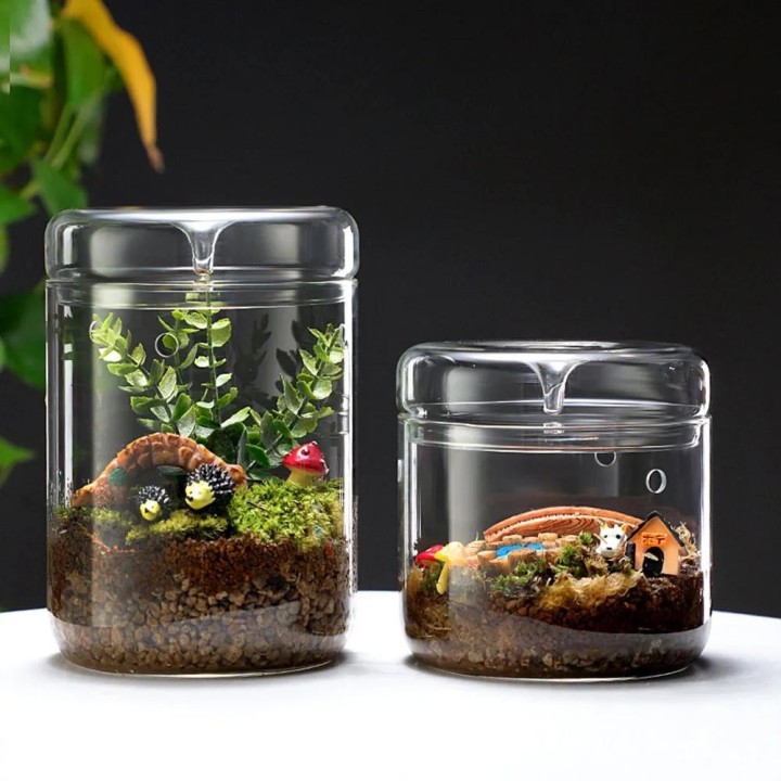 Glasflaschen Kreative Tau Sammlung Vase Micro Landschaft Sukkulenten Moos Bonsai Terrarium Home Decor