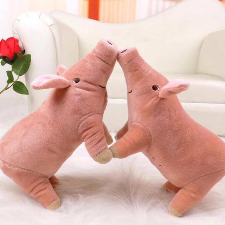 Simulations-Haustierschwein-Plüschtier, süßes Schweinedesign, Haustier, Zähneknirschen, quietschendes Plüschtier, langlebiges