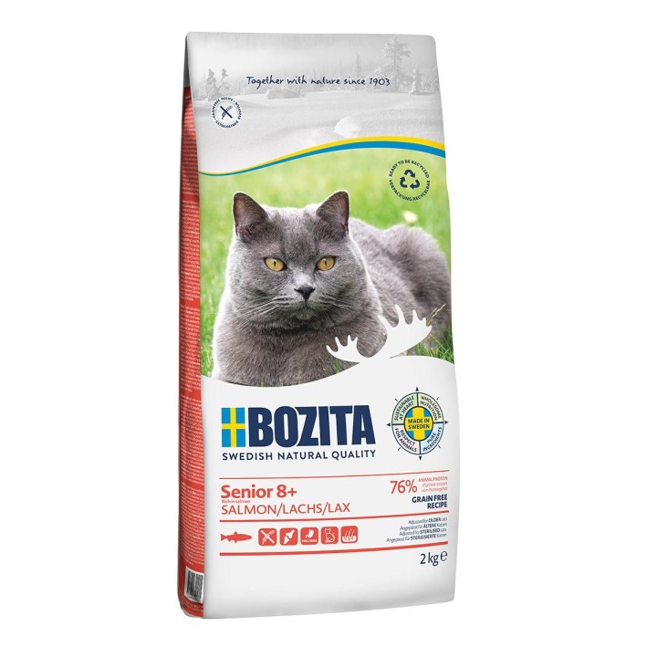 Bozita Senior 8+ Grain free mit Lachs 2kg
