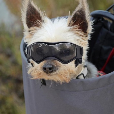 1 Stück Sonnenbrille für kleine Hunde, UV-Schutzbrille, Augenschutz für Hunde, Sonnenbrille für Haustiere, Outdoor, Welpenbri