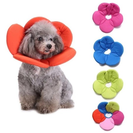Haustier Katze Hund Blume Halsband Anti Biss Schönheit verstellbare Schutz Abdeckung Ring S