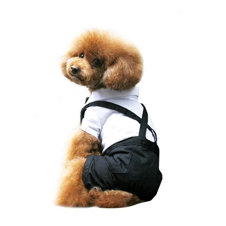 Frühlings- und Sommerkleidung, PET-Hosenträger, Hochzeitskleid, Anzug für Hunde, kleine Hunde, Affen und Körper S schwarz