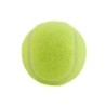 Tennisbälle Hohe Sprungkraft Übungstraining Outdoor Elastizität Langlebig Tennis Für Hunde Beißen Jagen Und Kauen 6,5 Cm Hund