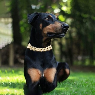 Hundehalsband-Kettengeschirr, Luxus-Metall mit Diamant, 20 mm Breite, Halsband für große Welpen, Deutscher Schäferhund 20cm r