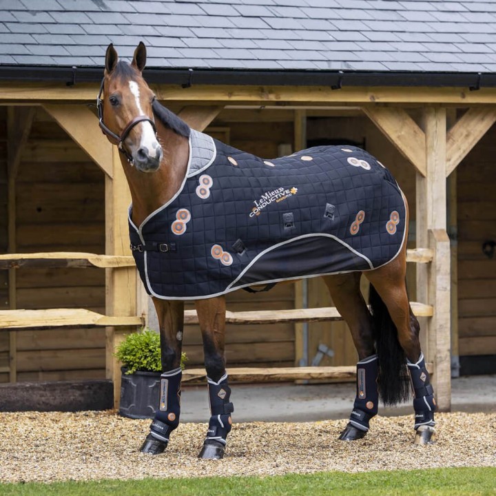 LeMieux Conductive Magnotherapy Rug