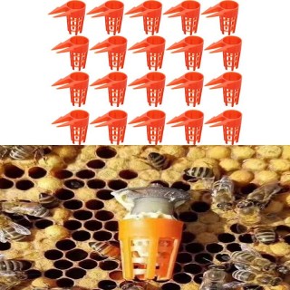 20 Stücke Kunststoff Bee Queen Schutzhülle Handy Abdeckung Bienenzucht Ausrüstung Käfig Werkzeug 20Pcs/Set