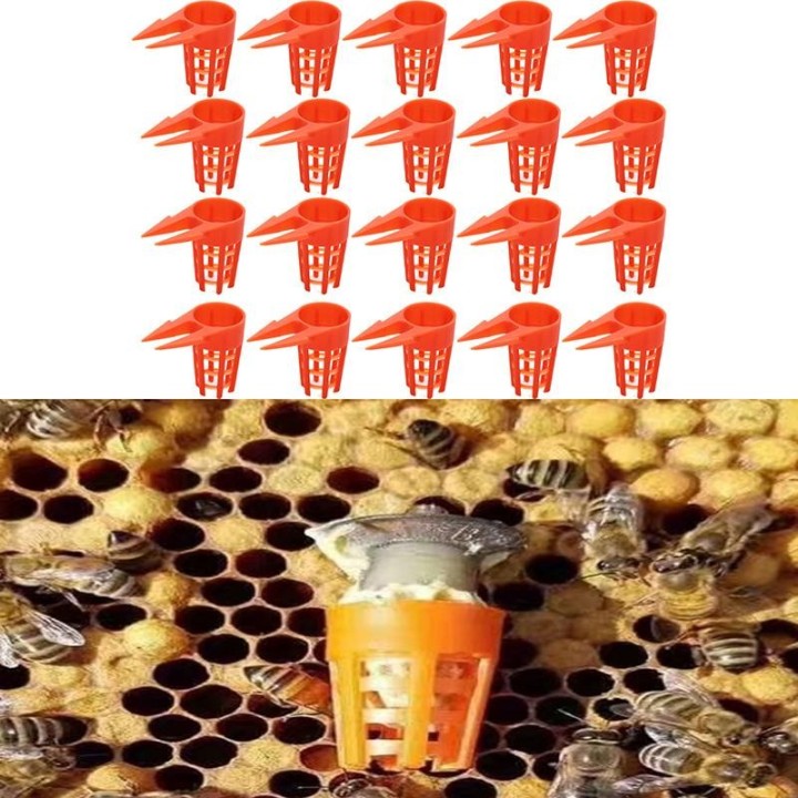 20 Stücke Kunststoff Bee Queen Schutzhülle Handy Abdeckung Bienenzucht Ausrüstung Käfig Werkzeug 20Pcs/Set