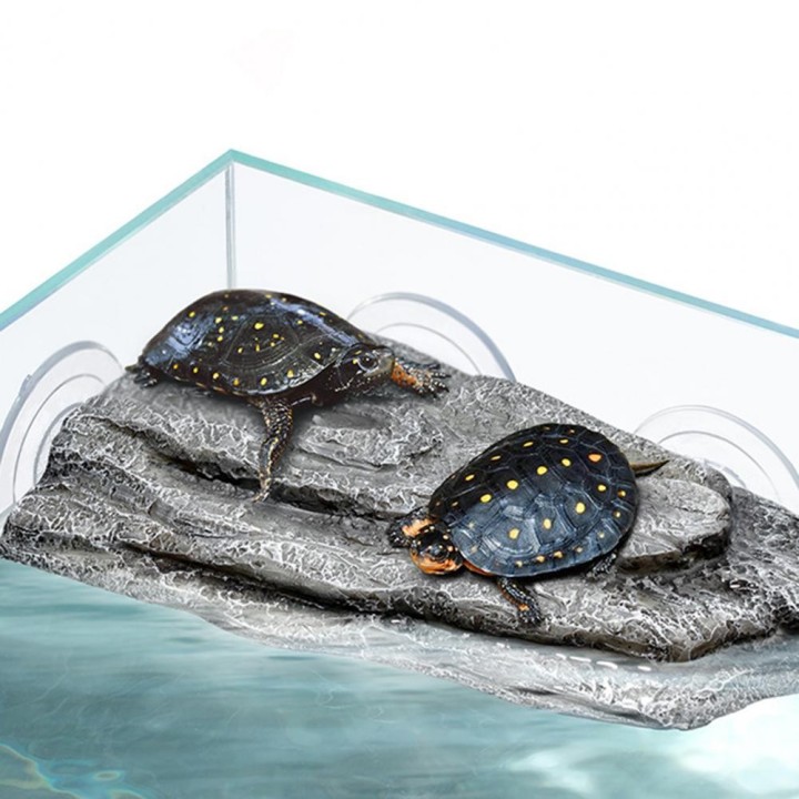 Turtle Terrace - Naturnahe Sonnenplattform für Schildkröten mit starken Saugnäpfen für Amphibien, Frösche, Molche, Eidechsen