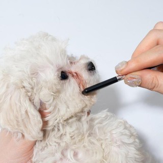 1/2 Stück Tragbarer Augenkamm für Haustiere, Tränenfleckenentferner, Bürste für die Fellpflege kleiner Katzen und Welpen, Sch