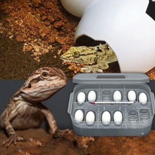 12 Löcher Reptil E-Ei Inkubationsschale Gecko Eidechse Schlange Eier Inkubation Werkzeug Insekten halten Box weiß