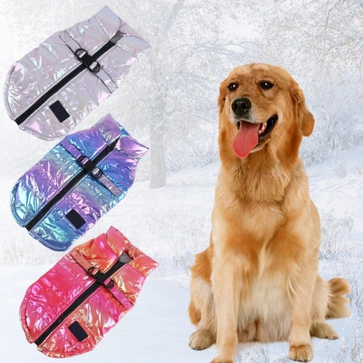 Bunte Haustier Hund Jacke Kleidung Winter Warme Wasserdichte Haustier Gepolsterte Weste Mantel Für Chihuahua Yorkshire Hausti