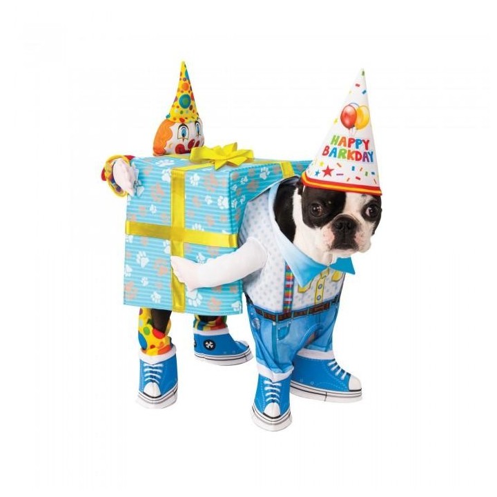 Bristol Neuheitsgeschenk Geburtstagshundekostüm L transparente weiße