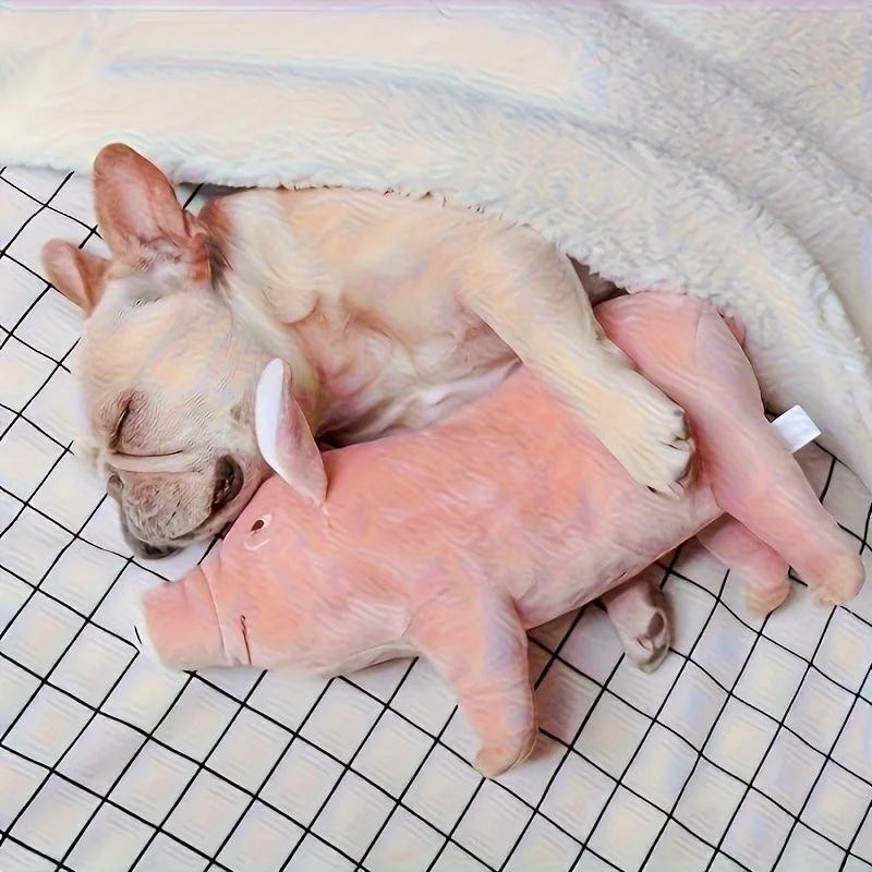 Simulations-Haustierschwein-Plüschtier, süßes Schweinedesign, Haustier, Zähneknirschen, quietschendes Plüschtier, langlebiges