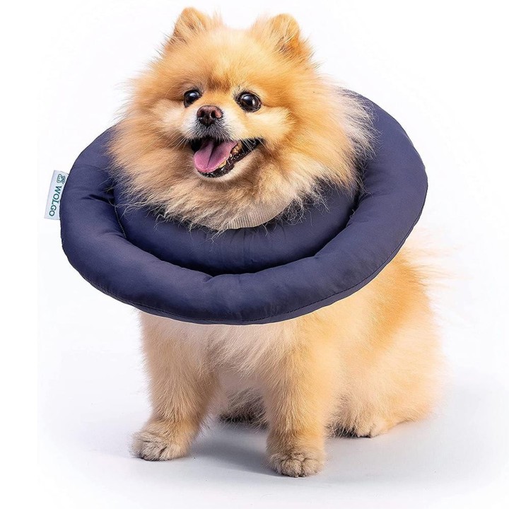 Bequemes Genesungshalsband für Haustiere, wasserabweisend, weich, verstellbar, Schutzkegel nach Operationen für Hunde und Kat