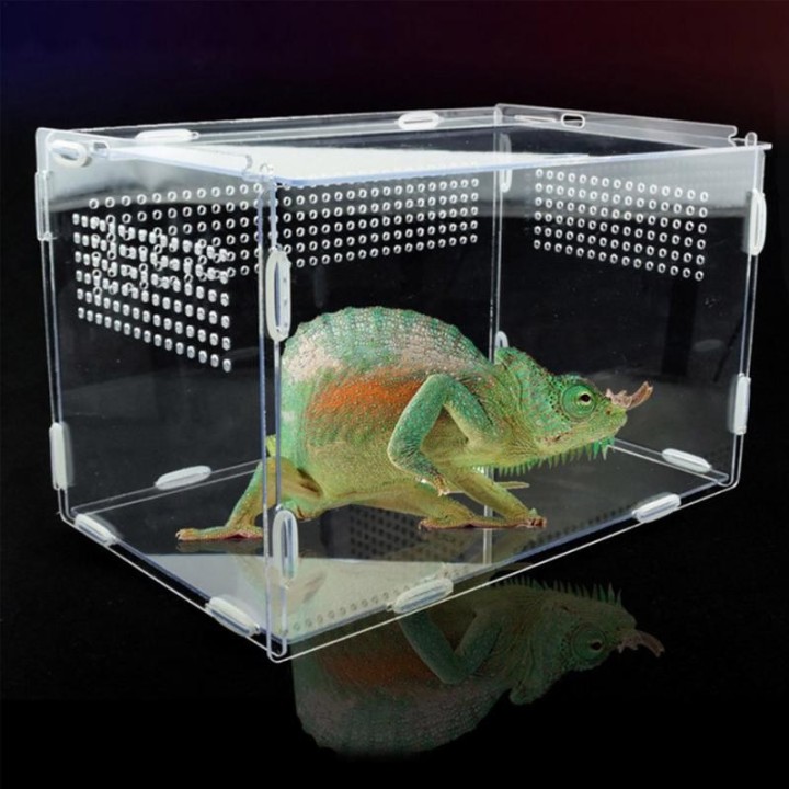 Transparente Fütterungsbox aus Acryl für die Zucht von Amphibien, Insekten und Reptilien mit Luftlöchern, leichte Fütterungsb